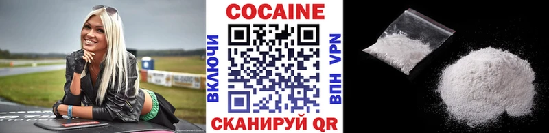 где купить наркоту  Шенкурск  COCAIN FishScale 