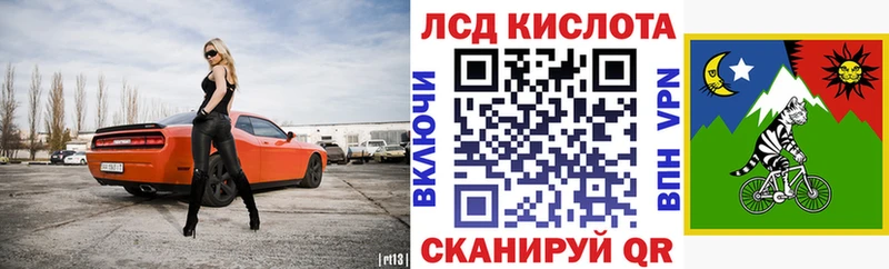 Наркотические марки 1,5мг  купить наркотики цена  Шенкурск 